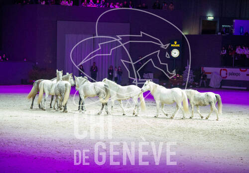 Optimized by JPEGmini 3.18.4.211163429-AP 0x2ea23b21