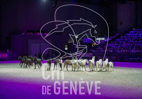 Optimized by JPEGmini 3.18.4.211163429-AP 0x9ce5ef52