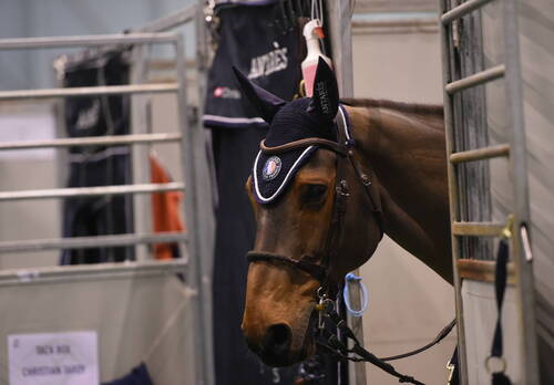 Ecuries Internationales
CHI Genève 08 décembre 2022