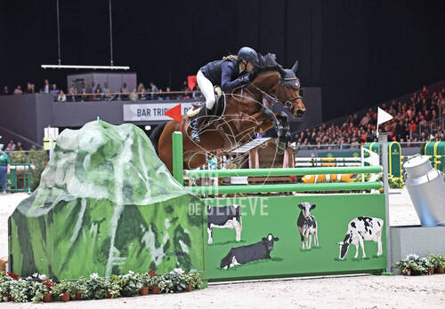 Description de l'image