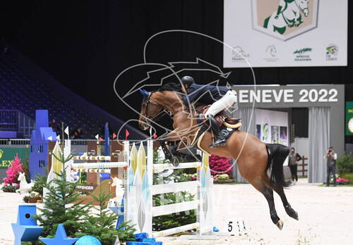 Description de l'image