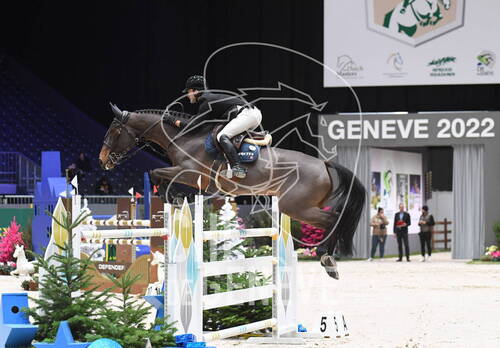 Description de l'image