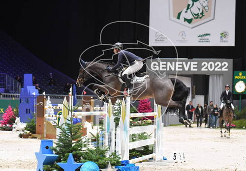 Description de l'image