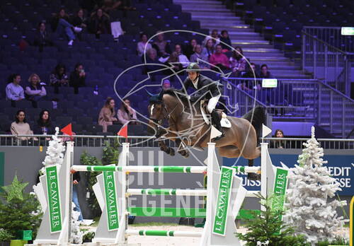 Description de l'image