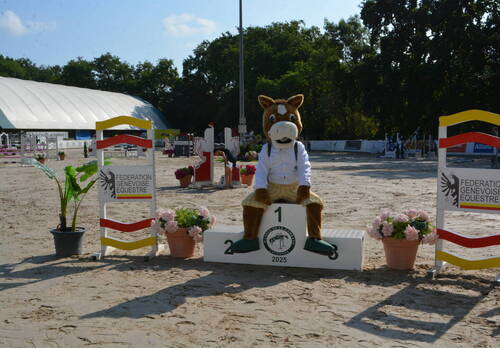 Description de l'image