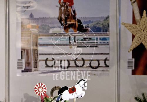 © CHI de Genève / Photobujard