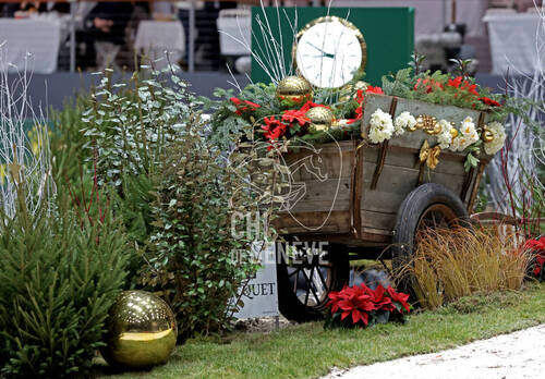 © CHI de Genève / Photobujard