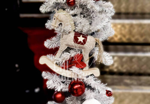 © CHI de Genève / Photobujard