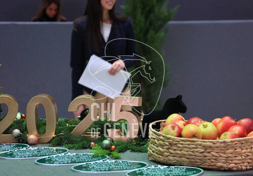 © CHI de Genève / Photobujard