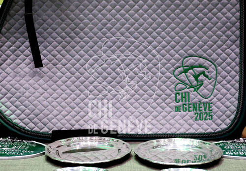 © CHI de Genève / Photobujard