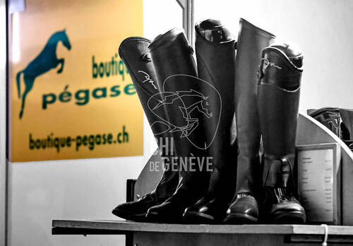 © CHI de Genève / Photobujard