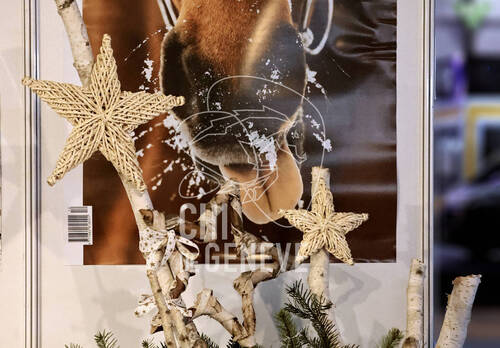 © CHI de Genève / Photobujard