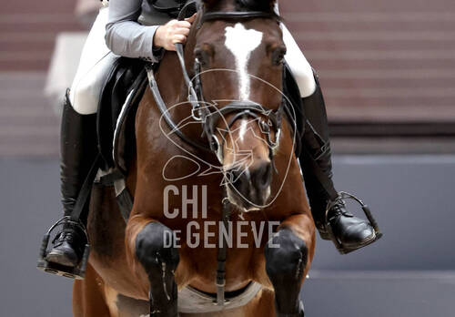 © CHI de Genève / Photobujard