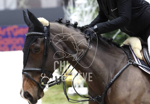 © CHI de Genève / Photobujard