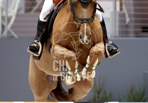 © CHI de Genève / Photobujard