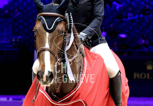 © CHI de Genève / Photobujard