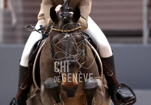 © CHI de Genève / Photobujard