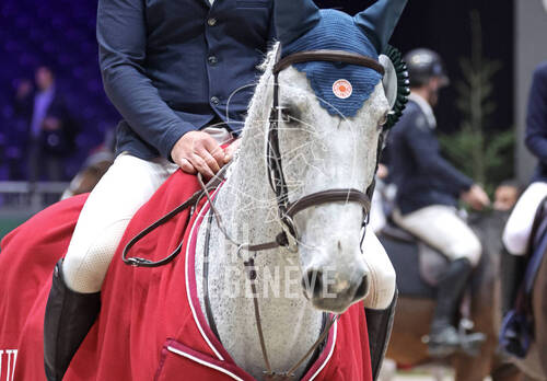 © CHI de Genève / Photobujard