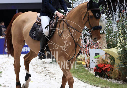 © CHI de Genève / Photobujard