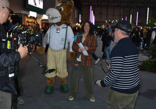 Description de l'image