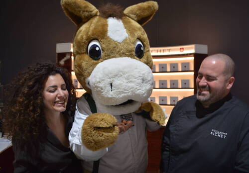 Description de l'image