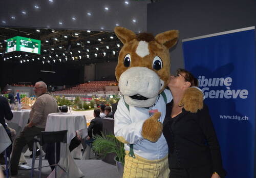 Description de l'image