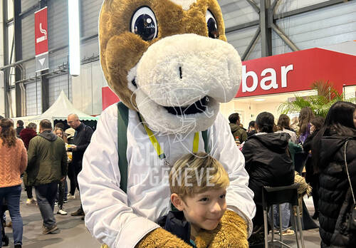 Description de l'image