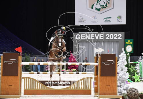 Description de l'image