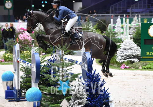 Description de l'image