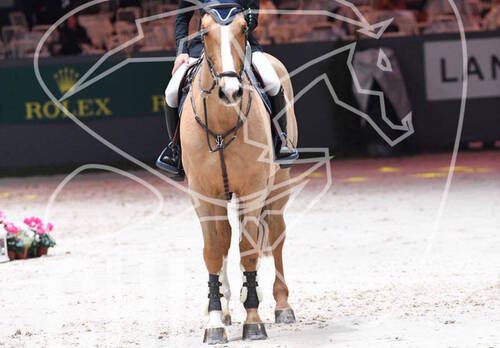 Description de l'image