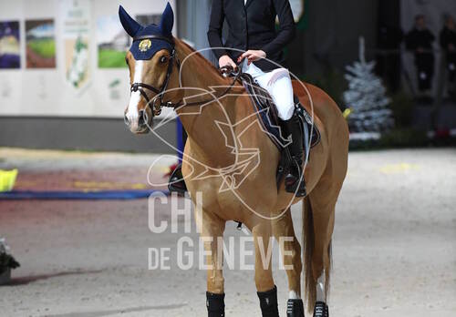 Description de l'image