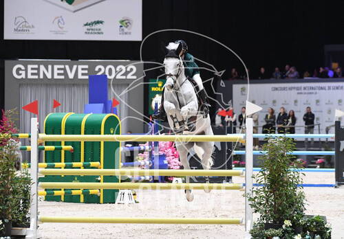 Description de l'image