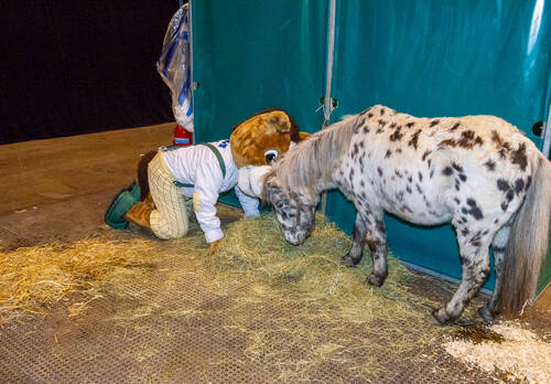 Optimized by JPEGmini 3.18.4.211163429-AP 0xdf638f05