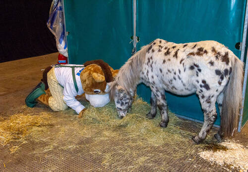 Optimized by JPEGmini 3.18.4.211163429-AP 0x13942b30