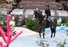 Warm up- Cavalier de saut
CHI Genève 08 décembre 2022