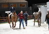 Warm up
Paddock CHI Genève 08 décembre 2022