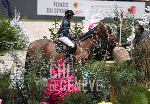 Description de l'image