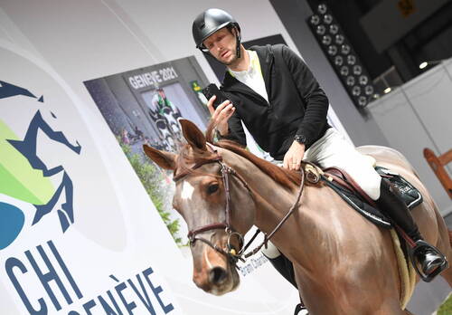 Warm up- Cavalier de sautCHI Genève 08 décembre 2022