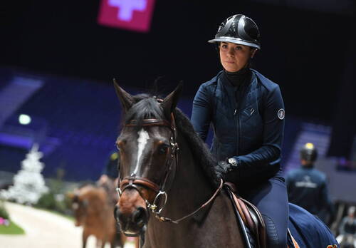 Warm up- Cavalier de sautCHI Genève 08 décembre 2022