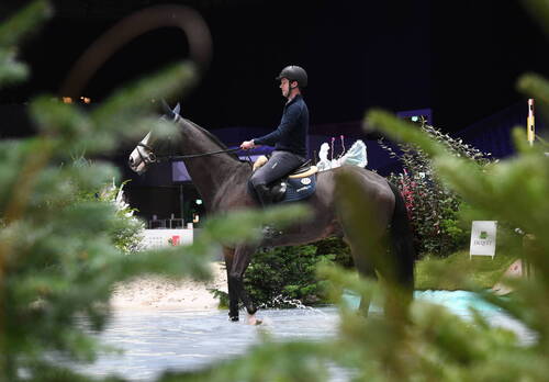 Warm up- Cavalier de sautCHI Genève 08 décembre 2022