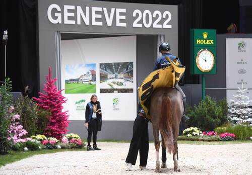 Warm up- Cavalier de sautCHI Genève 08 décembre 2022