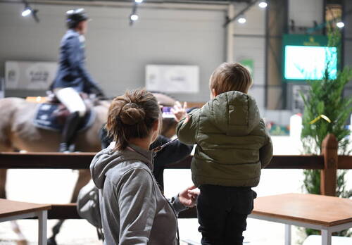 Warm upPaddock CHI Genève 08 décembre 2022