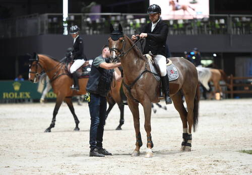 Warm upPaddock CHI Genève 08 décembre 2022