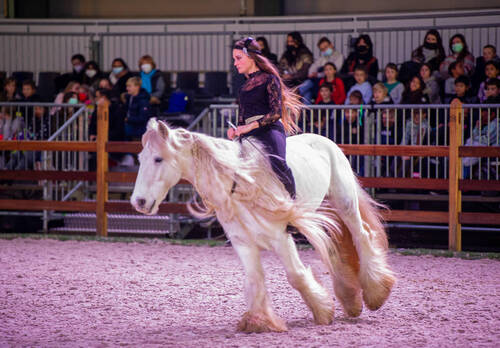 Optimized by JPEGmini 3.18.4.211163429-AP 0x5ba654ce