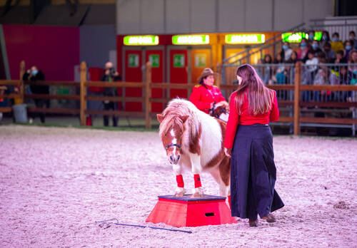 Optimized by JPEGmini 3.18.4.211163429-AP 0xb1e53cd0