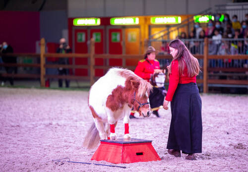 Optimized by JPEGmini 3.18.4.211163429-AP 0x832a4120