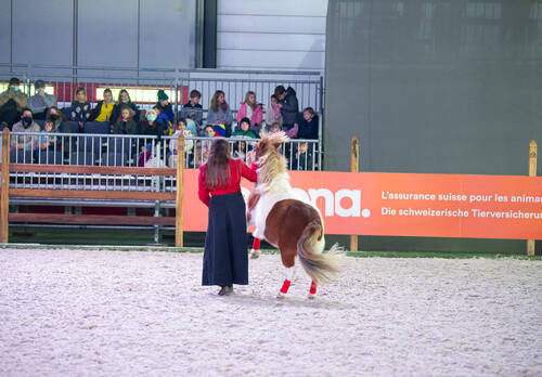 Optimized by JPEGmini 3.18.4.211163429-AP 0x15aca075