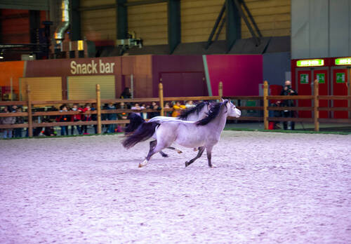 Optimized by JPEGmini 3.18.4.211163429-AP 0x5ac996ab