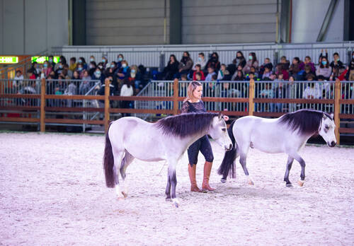 Optimized by JPEGmini 3.18.4.211163429-AP 0x9ce5ef52