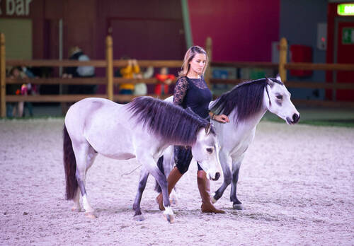 Optimized by JPEGmini 3.18.4.211163429-AP 0x91ad0fe8